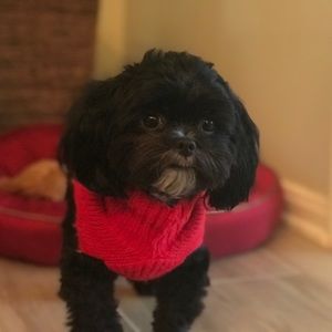 Meet your Posher, Whitney